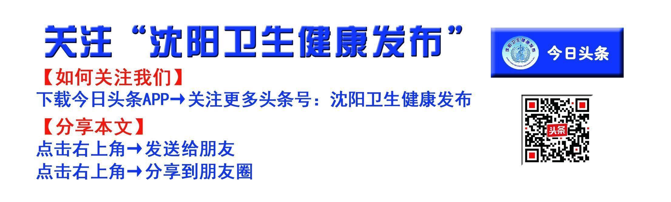 冬日暖阳沈阳回放,冬日里的暖阳最新视频