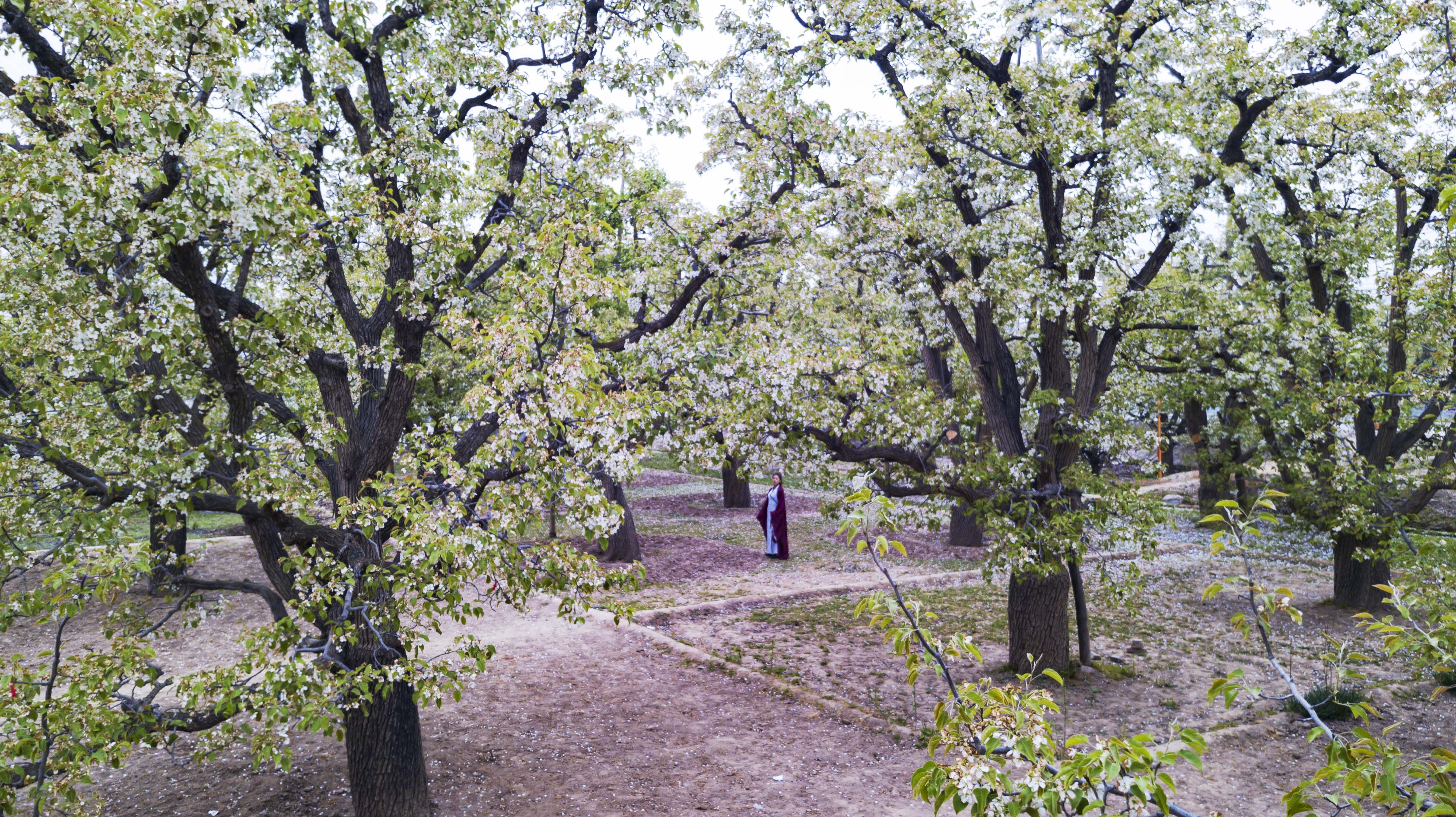 大西北戈壁滩怎么形成的,我国西北地区大戈壁滩形成原因