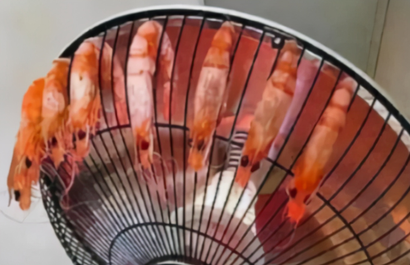 大学生宿舍查出违规用品,高校宿舍违规用品