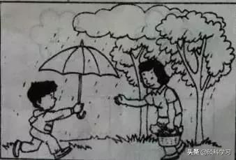 一二年级看图写话训练教程视频,一二年级看图写话训练教程