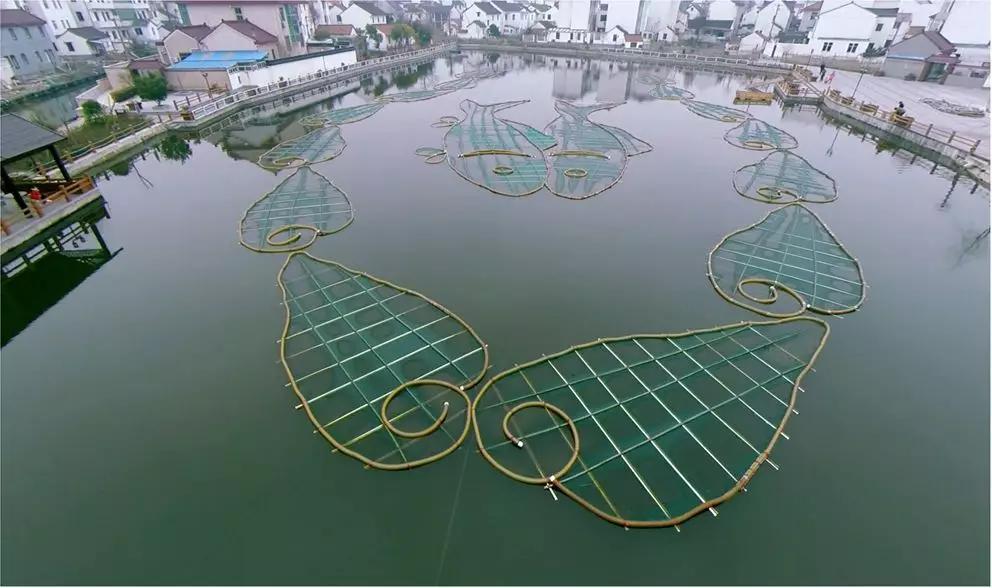 上海2020年拆迁地段在哪,上海最新拆迁区域