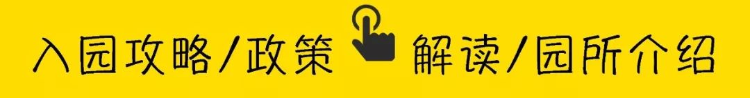 深圳南山城堡幼儿园,深圳市南山区top10幼儿园