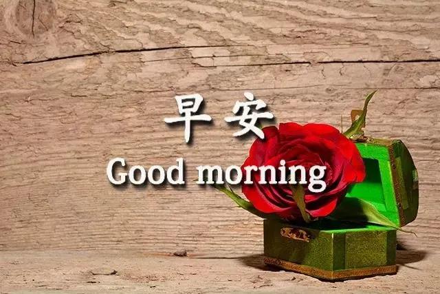 人就像一根弦绷太紧会断,人生就像一根弦