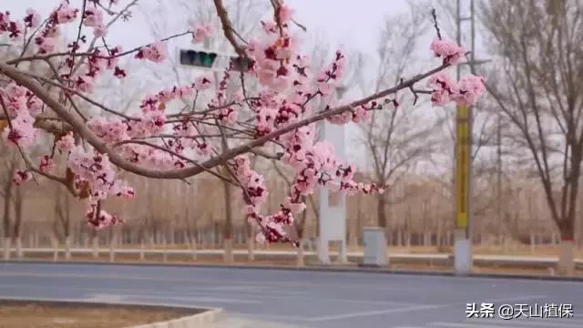 新疆的图木舒克市在什么位置,新疆的图木舒克是在北疆还是南疆