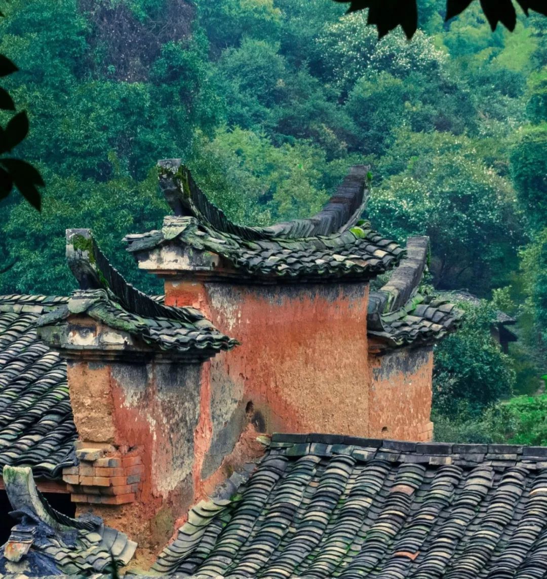 比乌镇安静比南浔古朴,藏不住了这里有最炫秋色