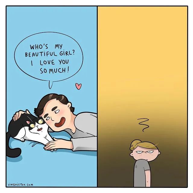 沙雕猫片，笑到床塌！自从做了卑微的铲屎官，比一个人时刺激多了