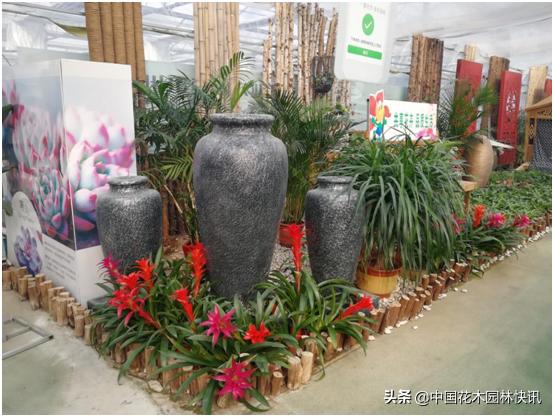 行业盛会视频,行业精英齐聚展会