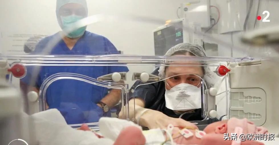 法国首例子宫移植成功,法国人移植子宫