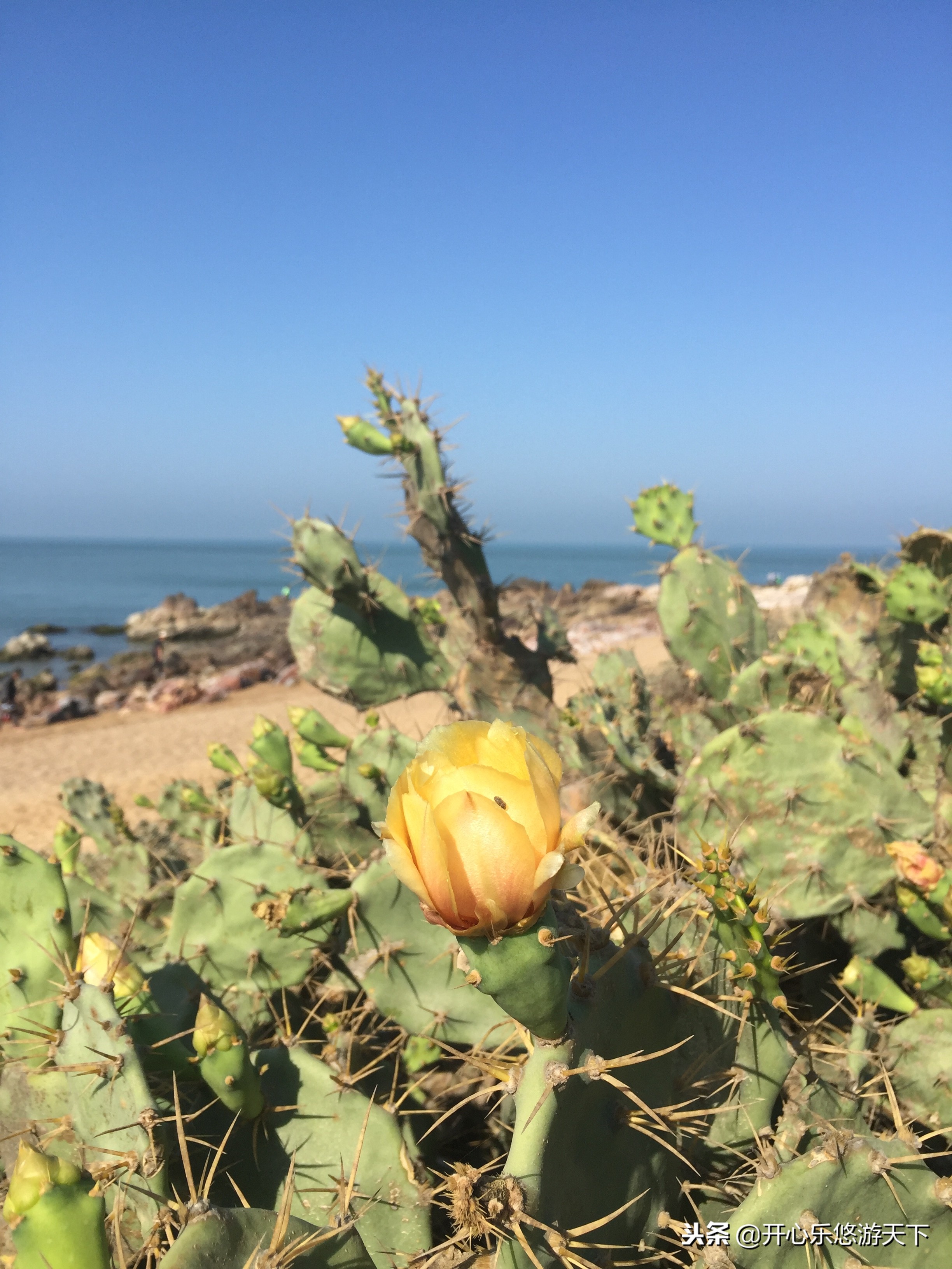 床车自驾海南环岛游视频,床车自驾海南