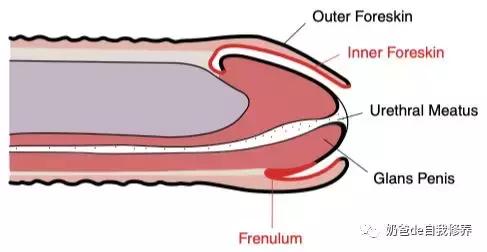 生儿子太多的烦恼,生儿子操心多