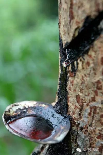 涂料100种常识,涂料常见知识