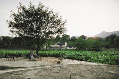 疫情结束房子会降价吗,疫情结束后又发生了什么事