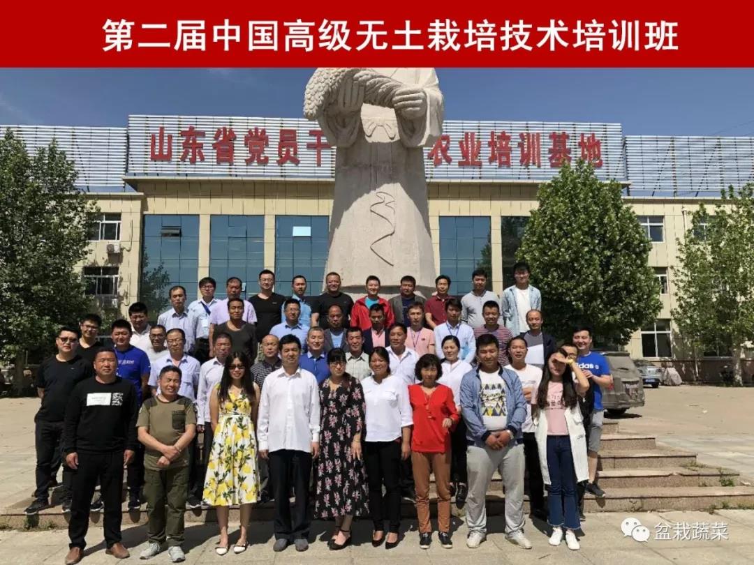 抢名额，19期中国无土栽培和土壤种植技术升级集成培训会