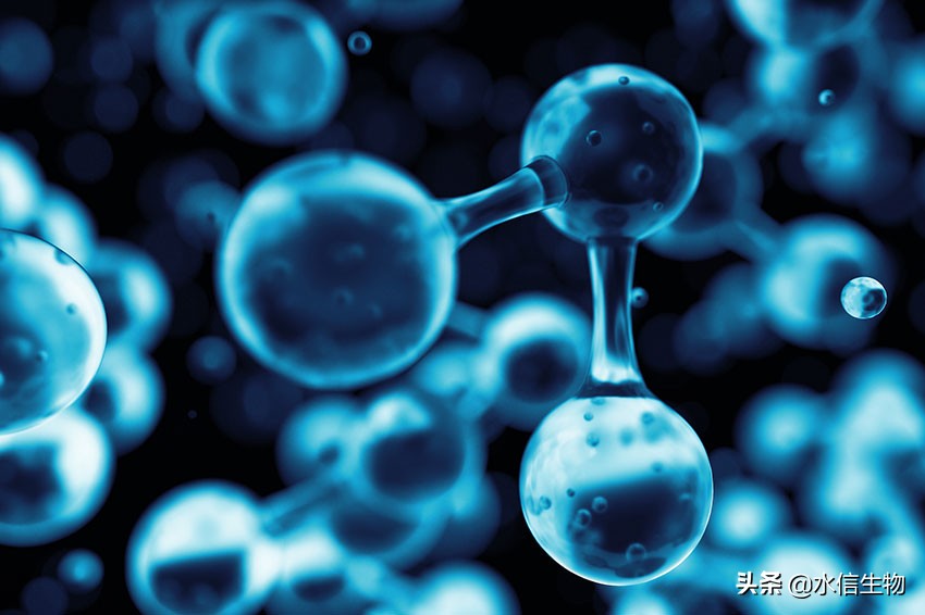 高端寡肽护肤品加工工艺,护肤品研发的胶原蛋白