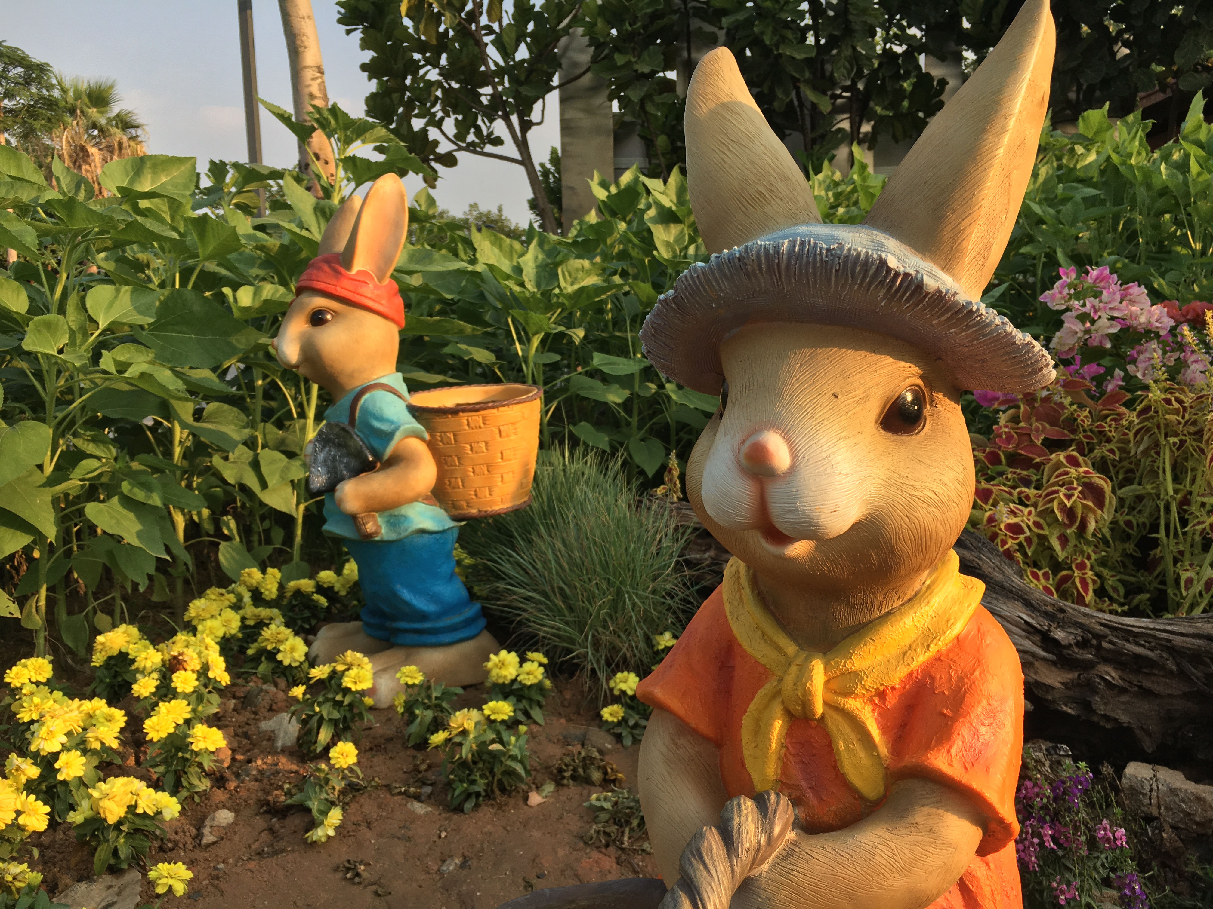 园博苑旅游攻略,厦门园博苑旅游攻略