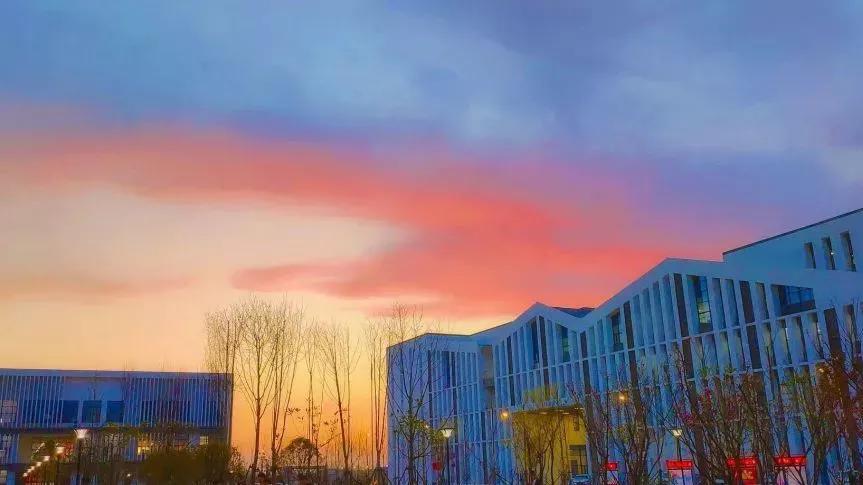 安徽省合肥师范学院2024招生简章,安徽省合肥师范学院今年投档线