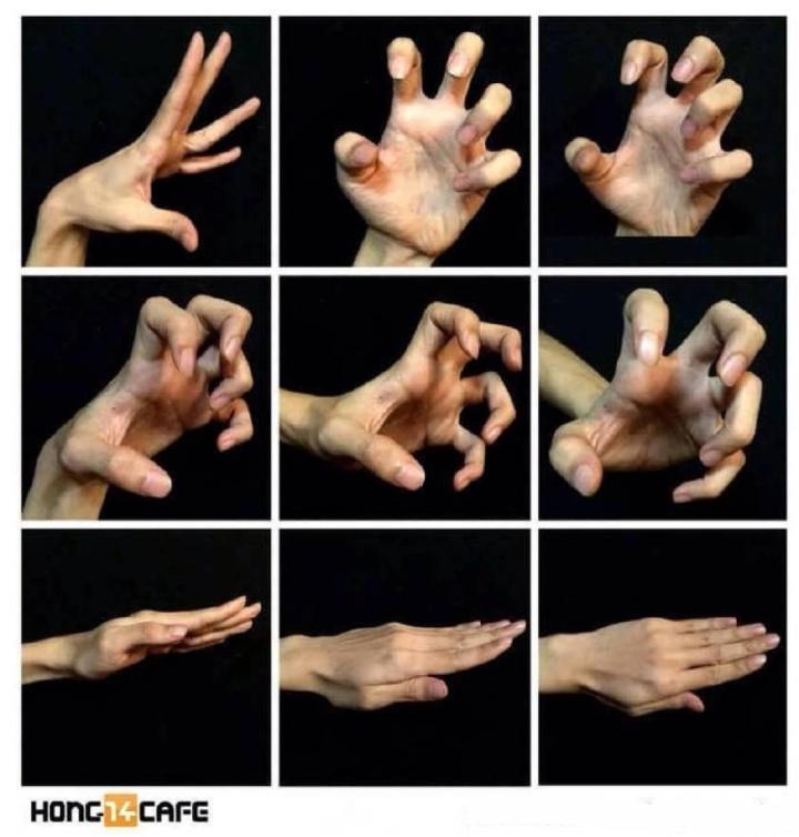 绘画简单的手部,画画小助手又简单又萌又好看