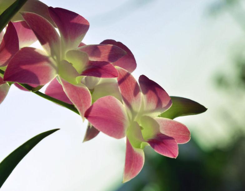 做人留三分说话留七分,话留三分软人留七分暖是什么意思