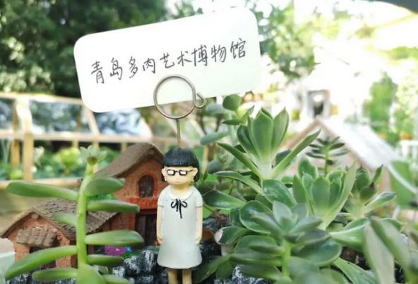 青岛琅琊山网红打卡景点,青岛自驾游攻略景点大全