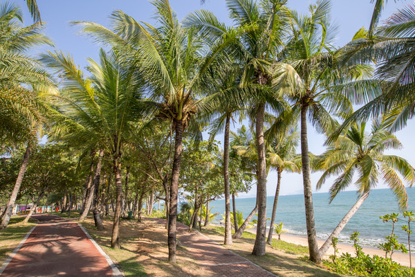 三亚沿海旅游公路,三亚最美的海景公路在哪里