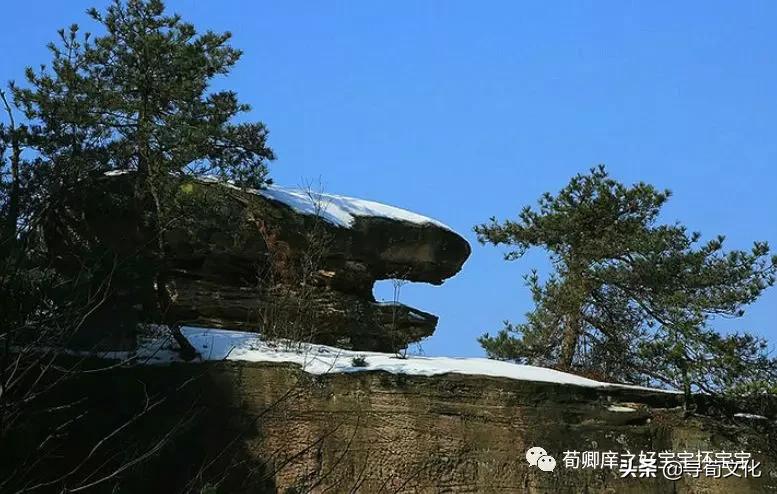 绠″瓙59鐗堢櫧璇濇枃鍏ㄦ枃,绠″瓙36绡囩櫧璇濇枃