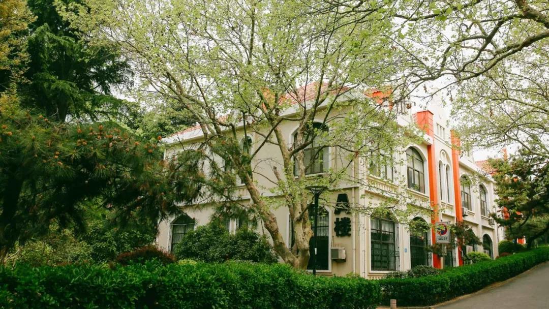 均温20℃的海滨老城，紫色泡桐花美得像国外，现在去性价比超高