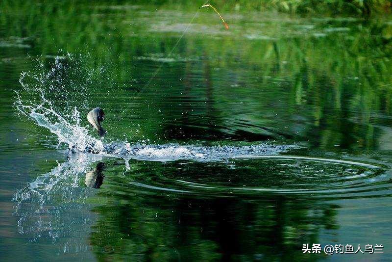 调几钓几调漂的正确方法,调几钓几是最好的调漂方法