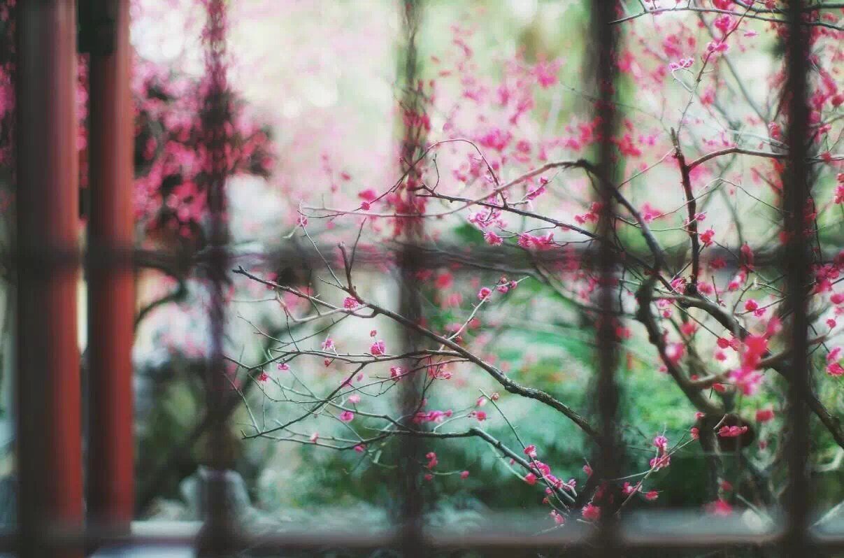 朱柏庐先生治家格言书法,朱伯庐治家格言全诗