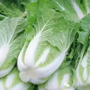 青岛十大海鲜干货特产,青岛西海岸特产推荐