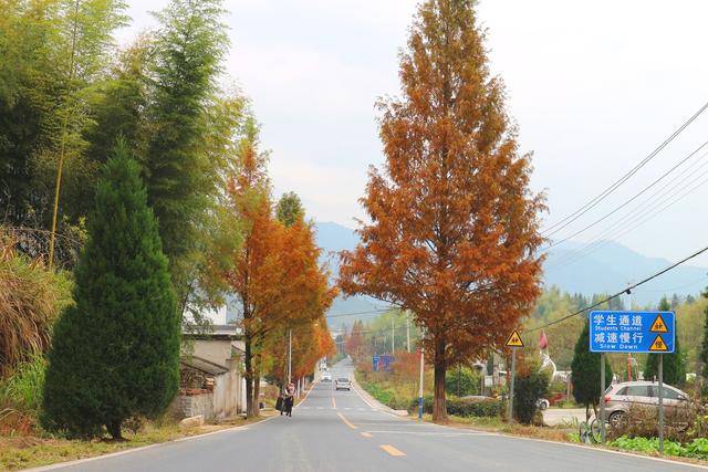 皖南古村落西递和宏村,皖南和西递