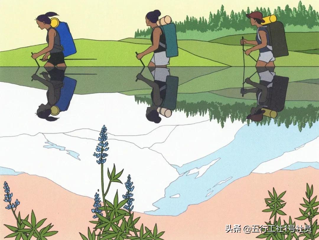 纽约时报年度最佳童书绘本推荐,纽约时报年度最佳图书