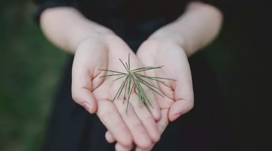 身体上有褐斑是怎么回事,身体上长褐斑是什么原因