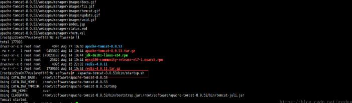 购买云服务器怎么安装系统,购买云服务器后怎么建网站