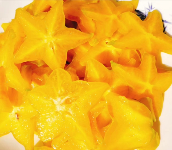 光影斑驳旧照片,斑驳的树影是时光的印记