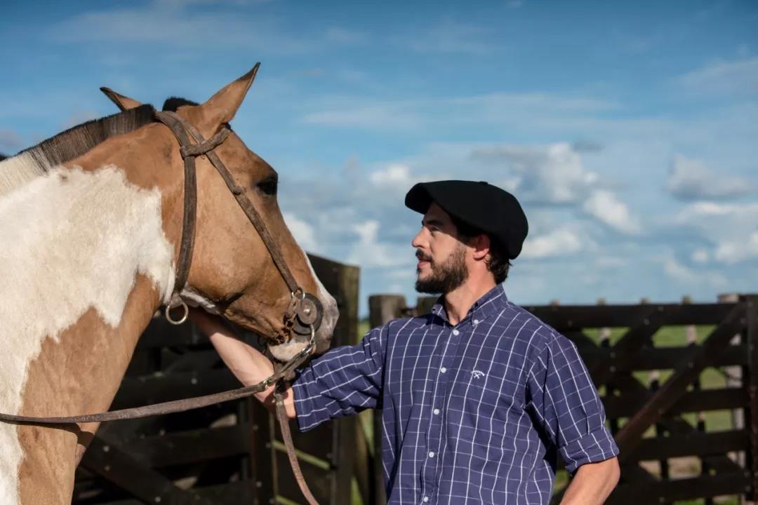 阿根廷牛肉如何走向世界,阿根廷牛肉源头