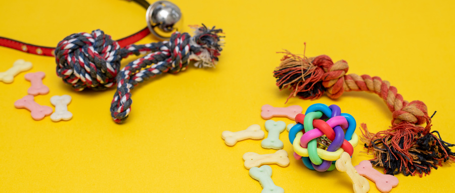 什么猫粮才是好猫粮,什么猫粮营养最好