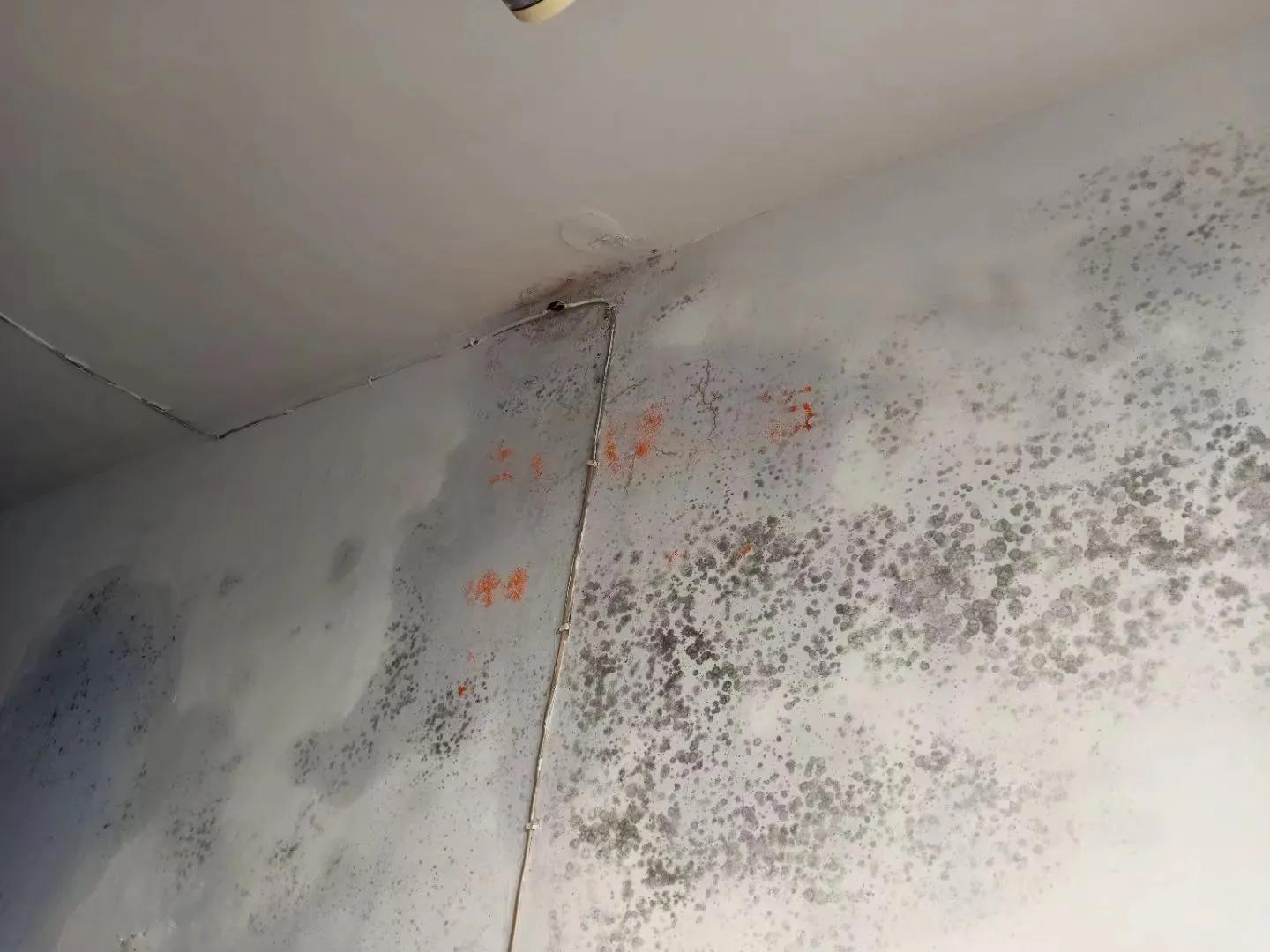 支教苦吗,支教到底苦不苦