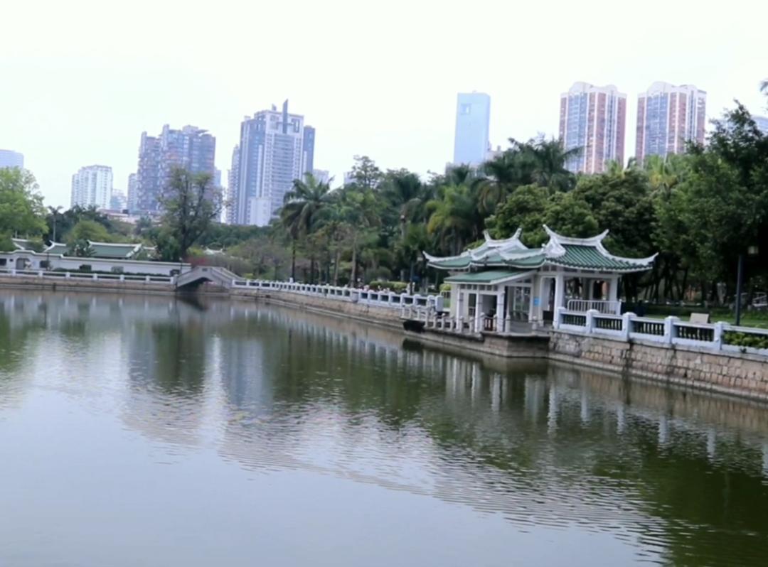 厦门藏匿着的美好,厦门是一座非常迷人的城市