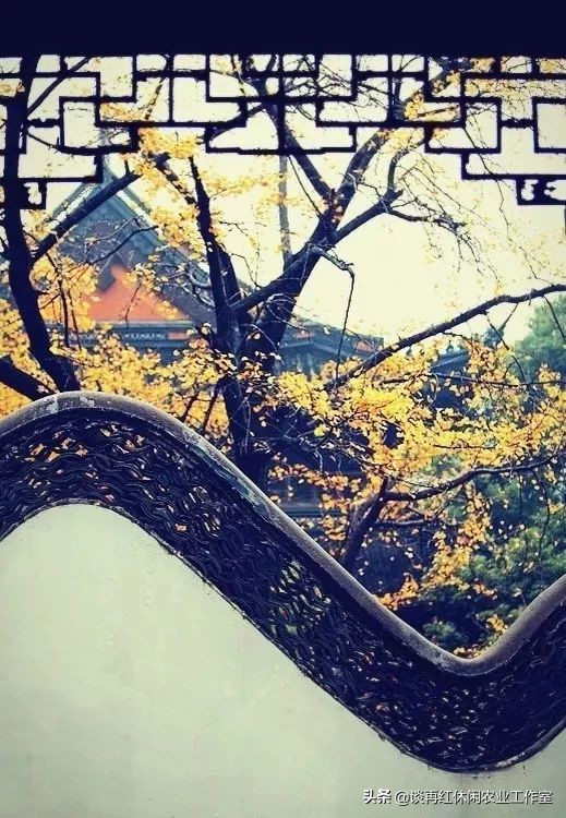 鱼树栽屋前好还是屋后好,阳宅不宜栽什么树