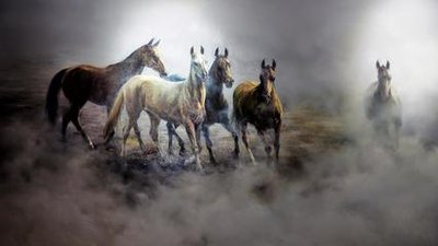 古代名马除了赤兔还有什么,古代十大名马分别是谁的坐骑