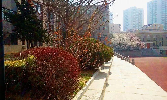 大连市第八中学电话,大连第八高级中学