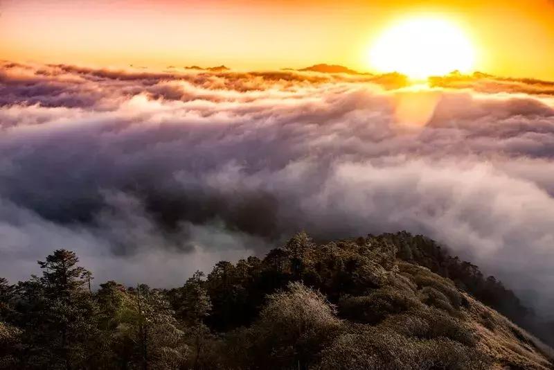 成都自驾百里杜鹃旅游攻略,万亩杜鹃花在青山幽谷