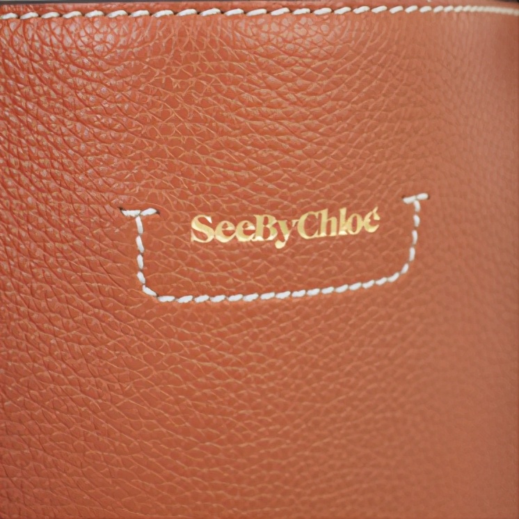 seebychloe相机包,seebychloe老款包包