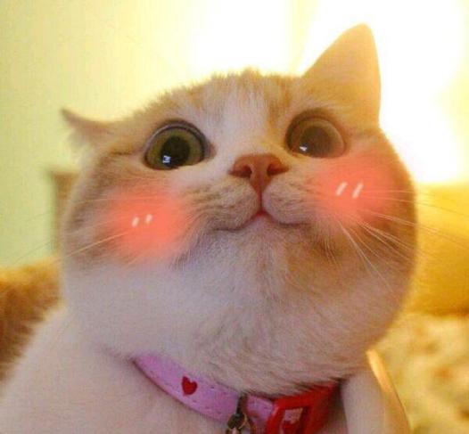 二次元矮个子风格女生,少女感满满的二次元女生