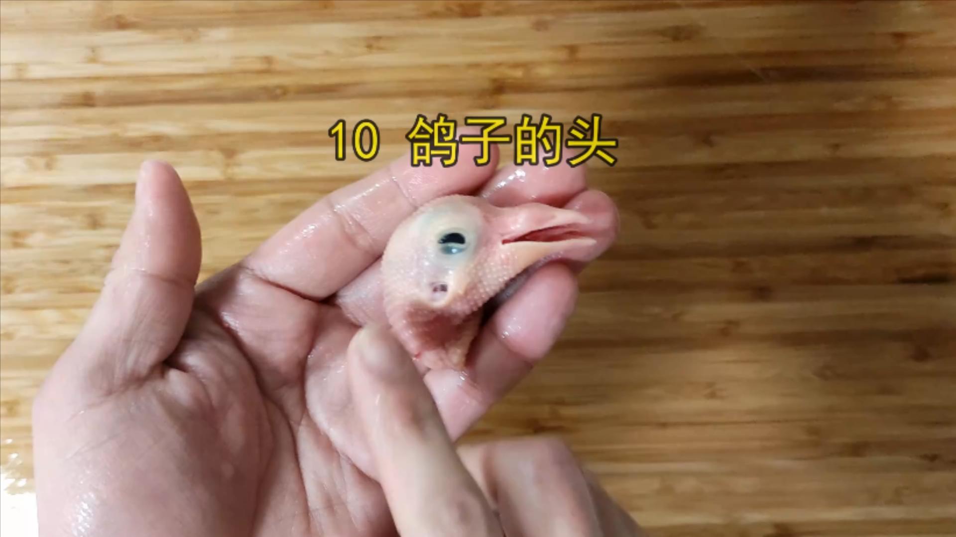 鸽子十大毒素排名,鸽子的毒素在哪里