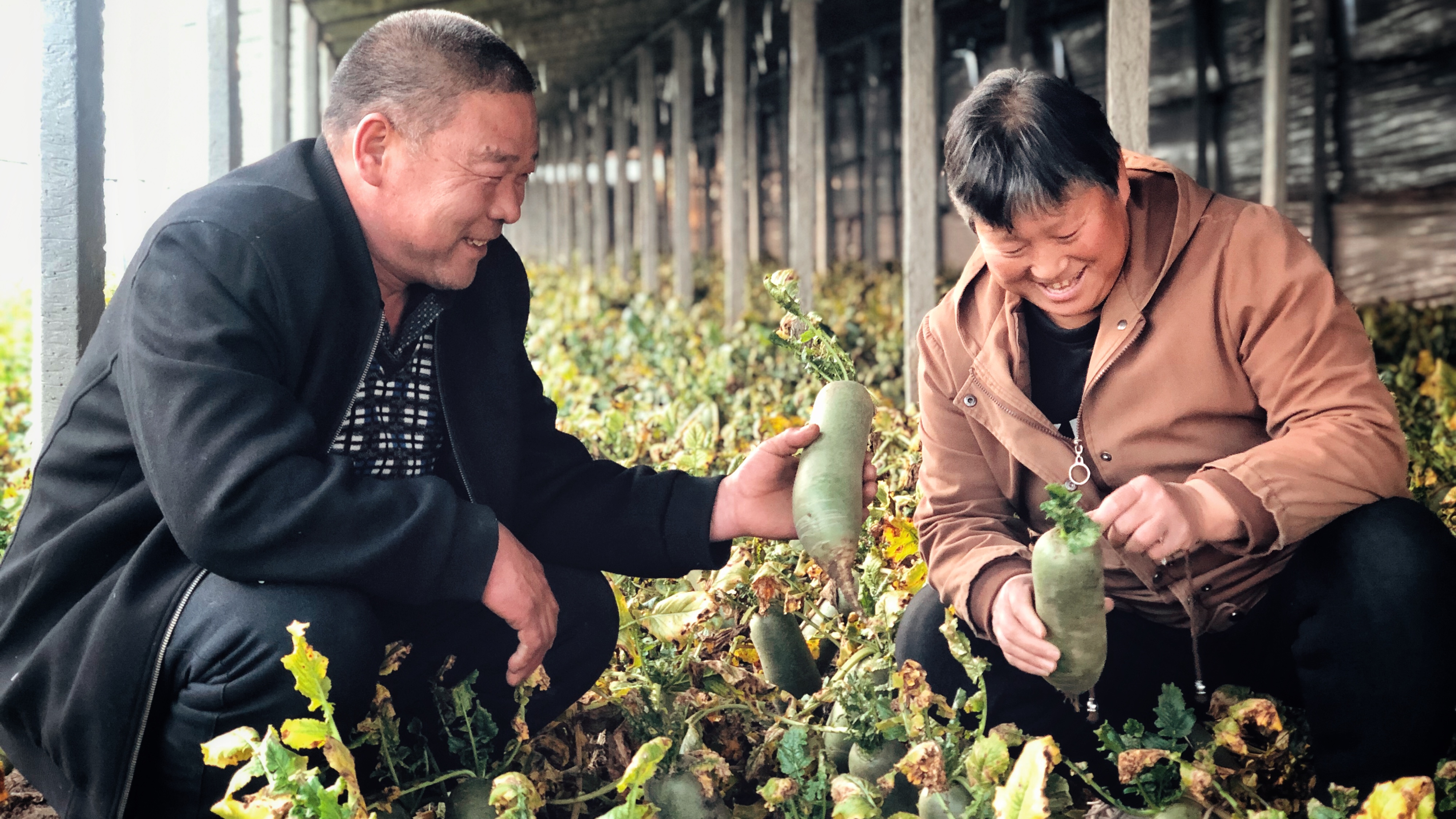 农民夫妇天猫开店：只卖一种东西，年入百万元