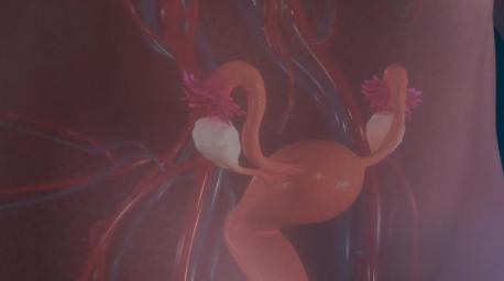 请收藏，迄今最全面的宫颈癌疫苗问答，都在这了