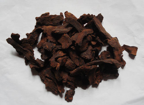 锁阳草的用途,春天健脾补阳补气血的蔬菜