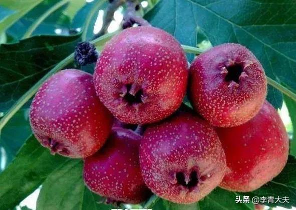 尿毒症患者血钾高的症状及危害,终末期肾病高钾血症