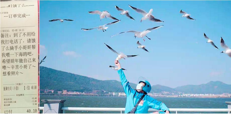 又好哭又好笑的歌,又好哭又好笑的片段